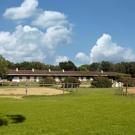 Residential Horse Club Costa Brava Vandrarhem Santa Cristina d'Aro Rum bild