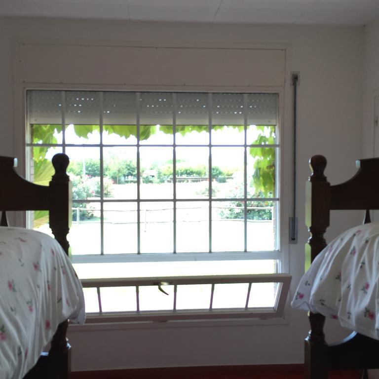 Residential Horse Club Costa Brava Vandrarhem Santa Cristina d'Aro Rum bild