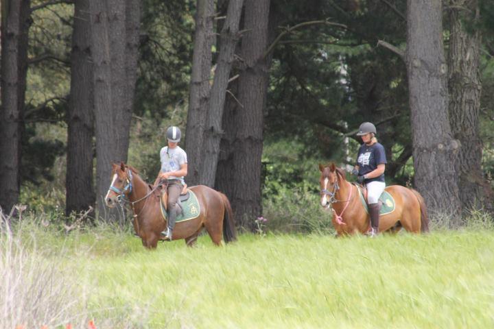 Residential Horse Club Costa Brava Vandrarhem Santa Cristina d'Aro Exteriör bild