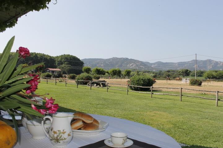 Residential Horse Club Costa Brava Vandrarhem Santa Cristina d'Aro Rum bild